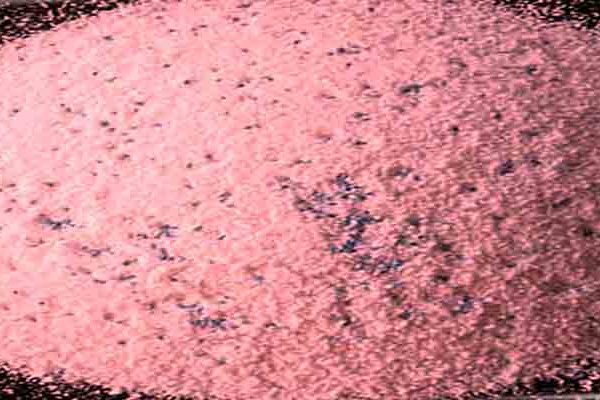 این مواد با بهترین مواد حال حاضر درست شد و پودر قطعه شویی می باشد